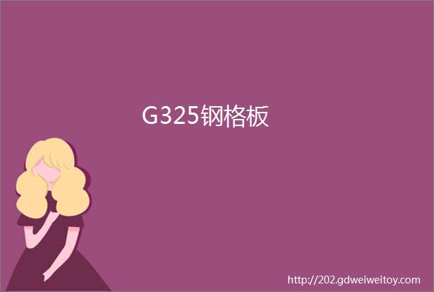 G325钢格板