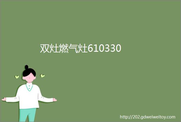 双灶燃气灶610330