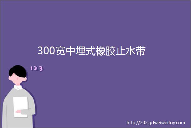 300宽中埋式橡胶止水带